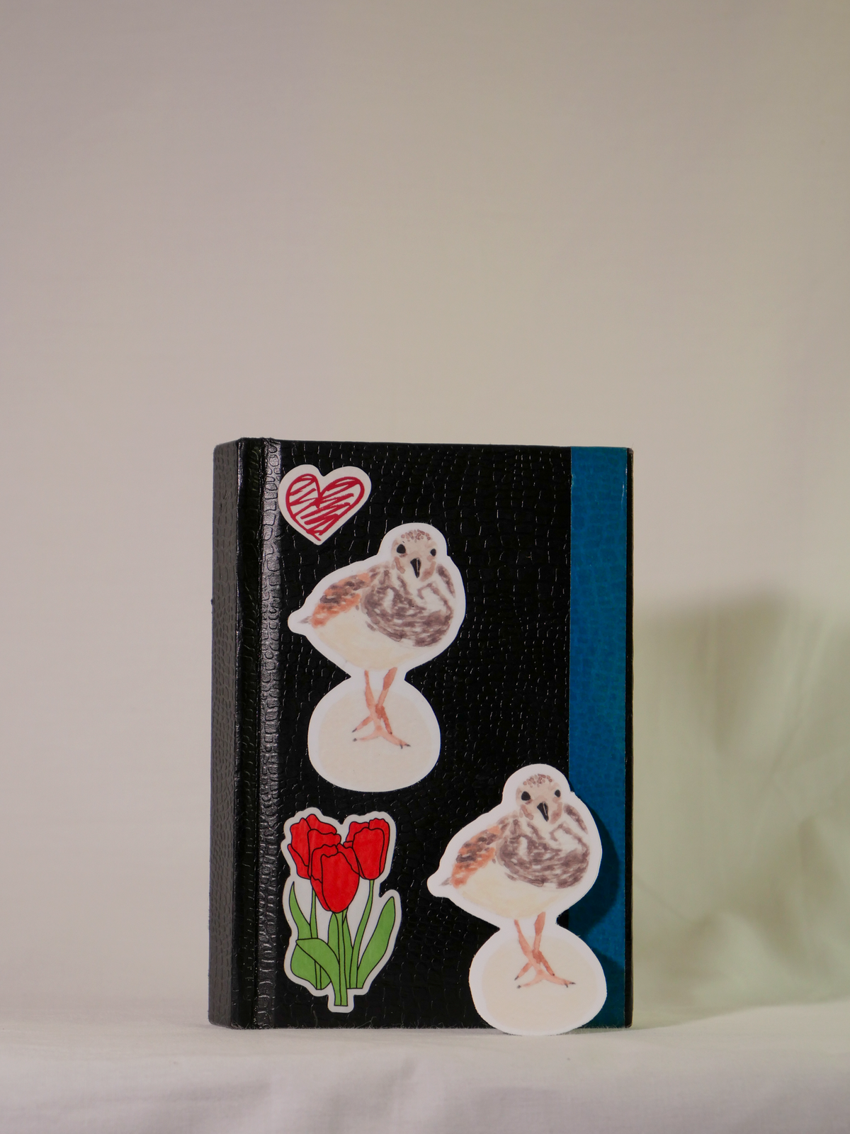 Ruddy Turnstone Vinyl Sticker