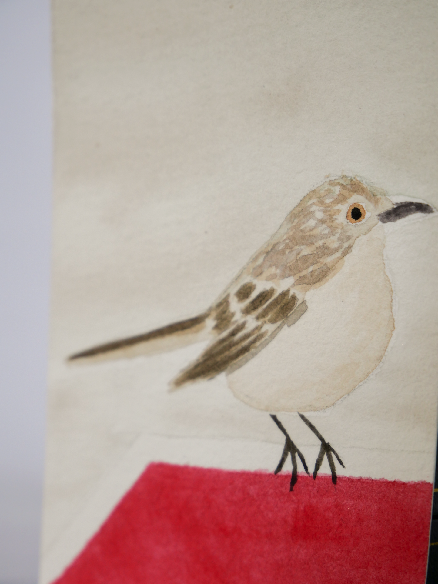 Stopped Mockingbird | Original Watercolor Painting | Coastal Bird Art