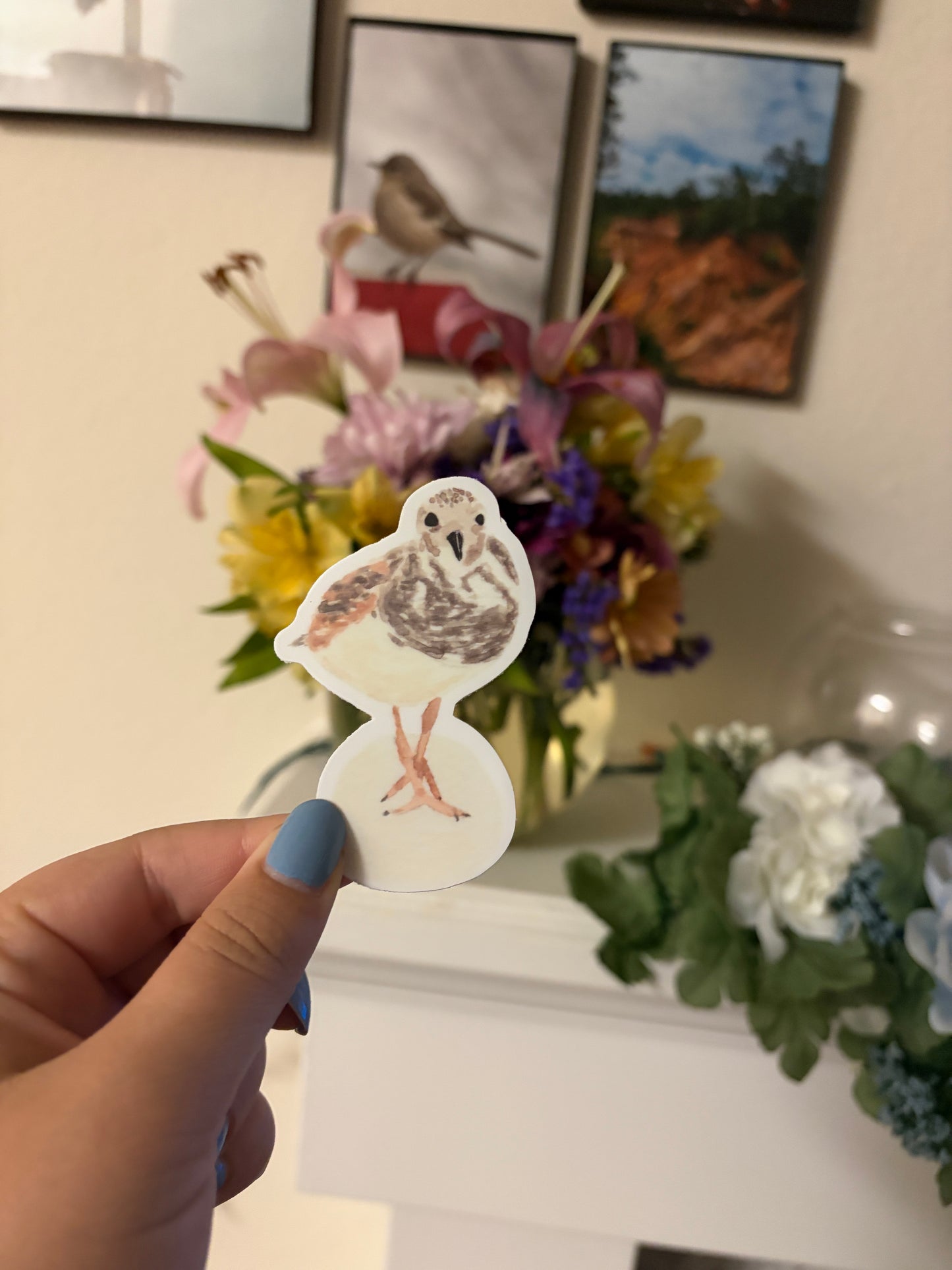 Shorebird Sticker, Ruddy Turnstone Watercolor Art, Coastal Bird Sticker, Bird Watcher Gift, Gulf Coast Art, Die Cut Vinyl Sticker