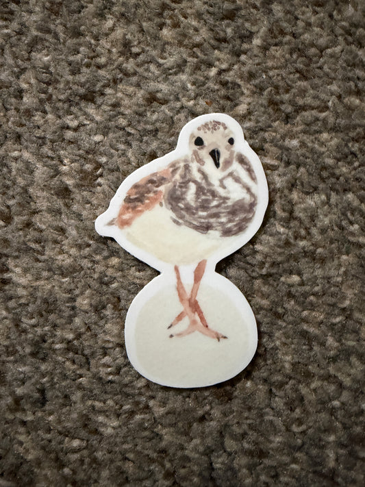 Shorebird Sticker, Ruddy Turnstone Watercolor Art, Coastal Bird Sticker, Bird Watcher Gift, Gulf Coast Art, Die Cut Vinyl Sticker