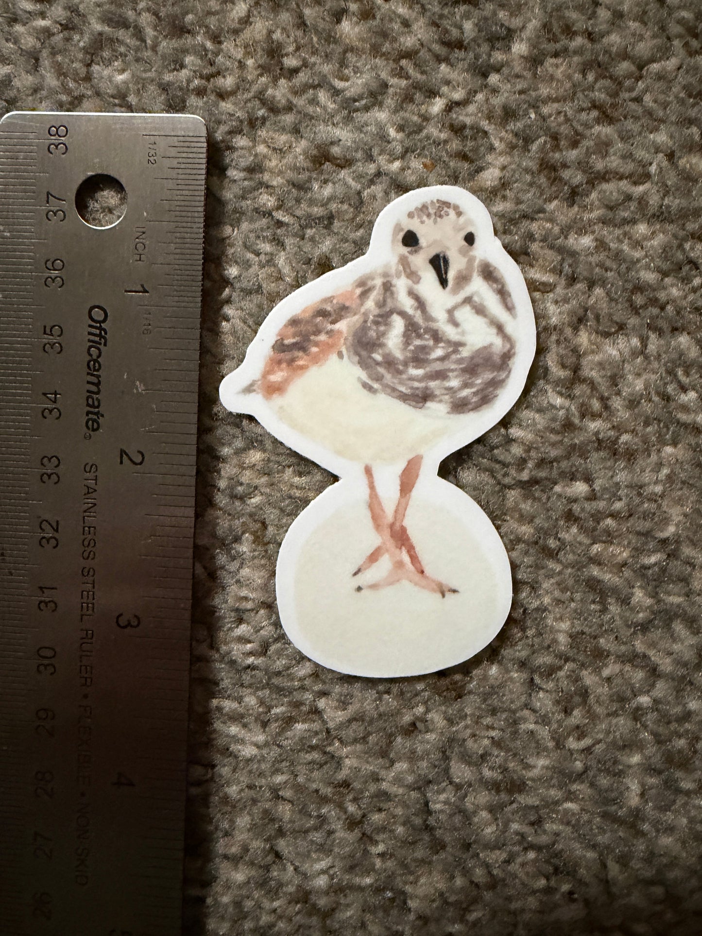 Shorebird Sticker, Ruddy Turnstone Watercolor Art, Coastal Bird Sticker, Bird Watcher Gift, Gulf Coast Art, Die Cut Vinyl Sticker