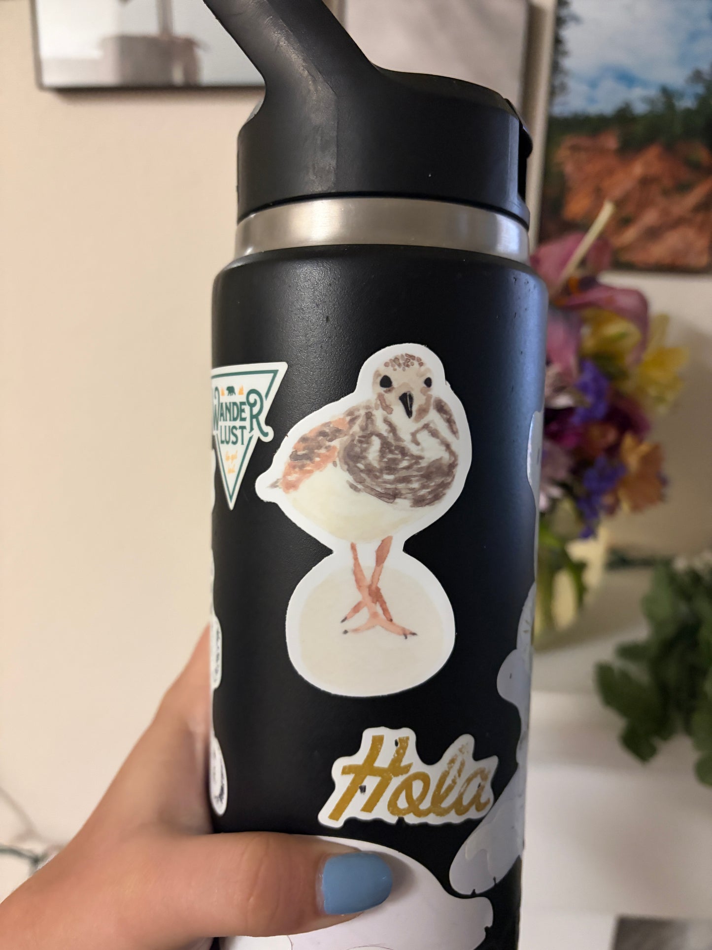 Shorebird Sticker, Ruddy Turnstone Watercolor Art, Coastal Bird Sticker, Bird Watcher Gift, Gulf Coast Art, Die Cut Vinyl Sticker