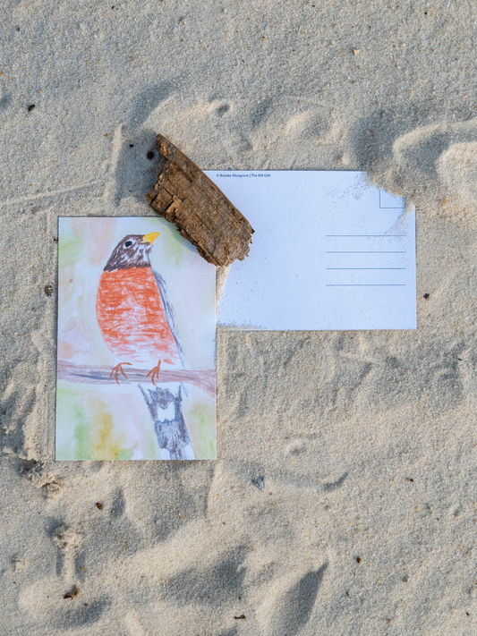 American Robin Postcard, Watercolor Bird Art Print, Nature Lover Gift, Backyard Bird Card, Wildlife Art, Bird Watcher Gift, 4x6 Art Card