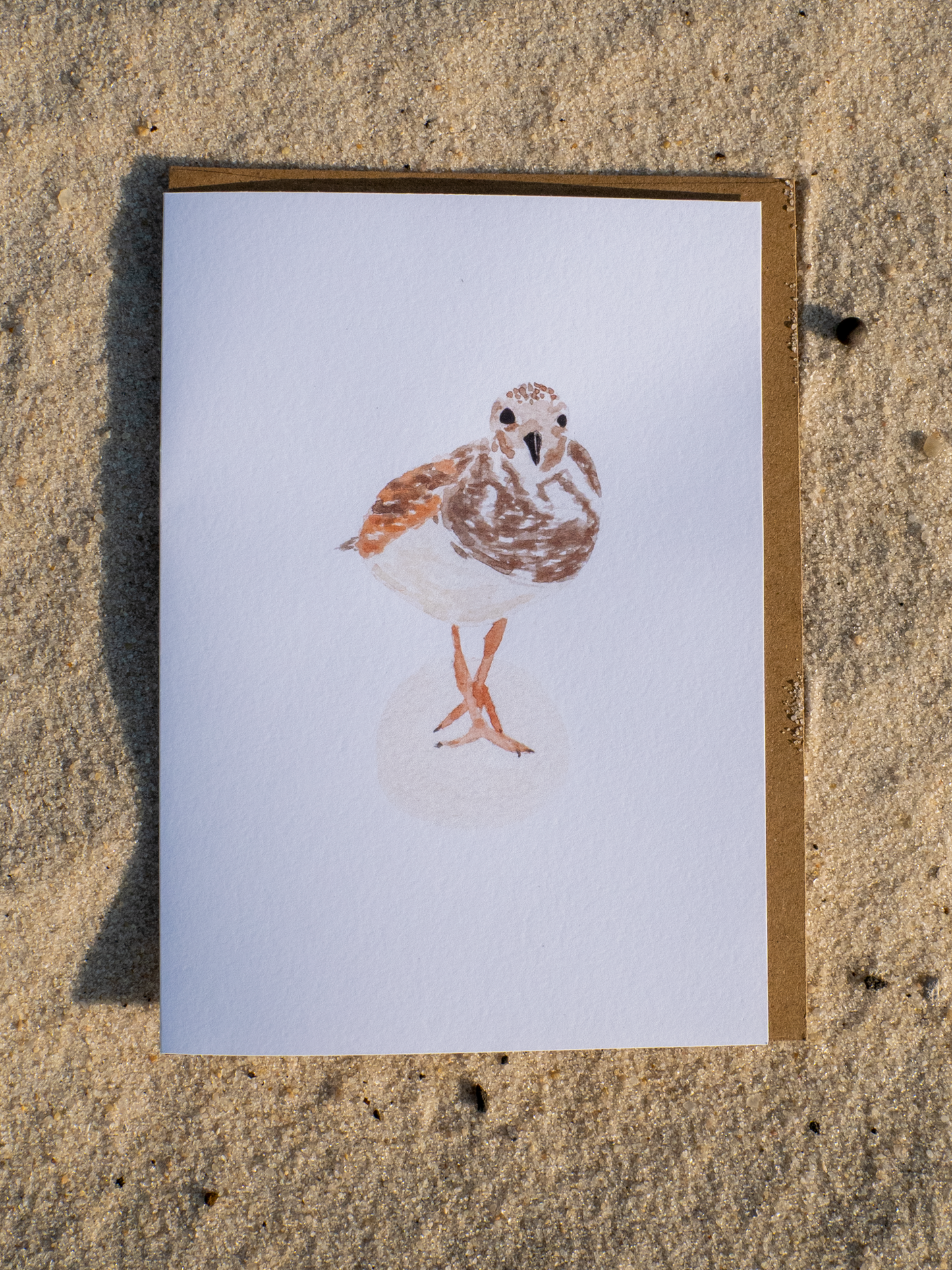 Shorebird Greeting Card, Ruddy Turnstone Watercolor Art, Coastal Bird Card, Bird Watcher Gift, Gulf Coast Nature Card, Blank Inside 5x7