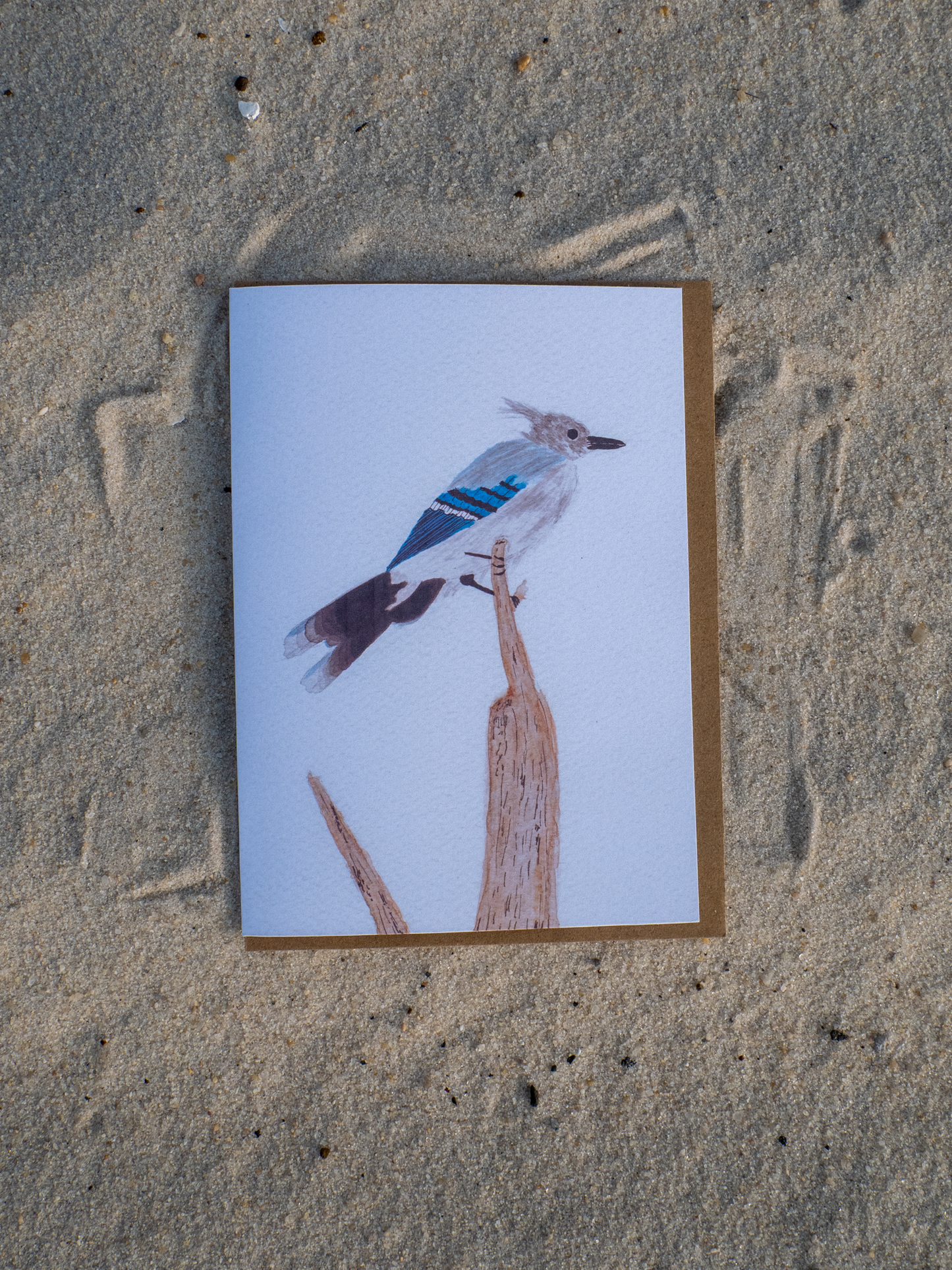 Blue Jay Greeting Card, Watercolor Bird Art, Nature Lover Card, Bird Watcher Gift, Wildlife Art Card, Blank Inside, 5x7