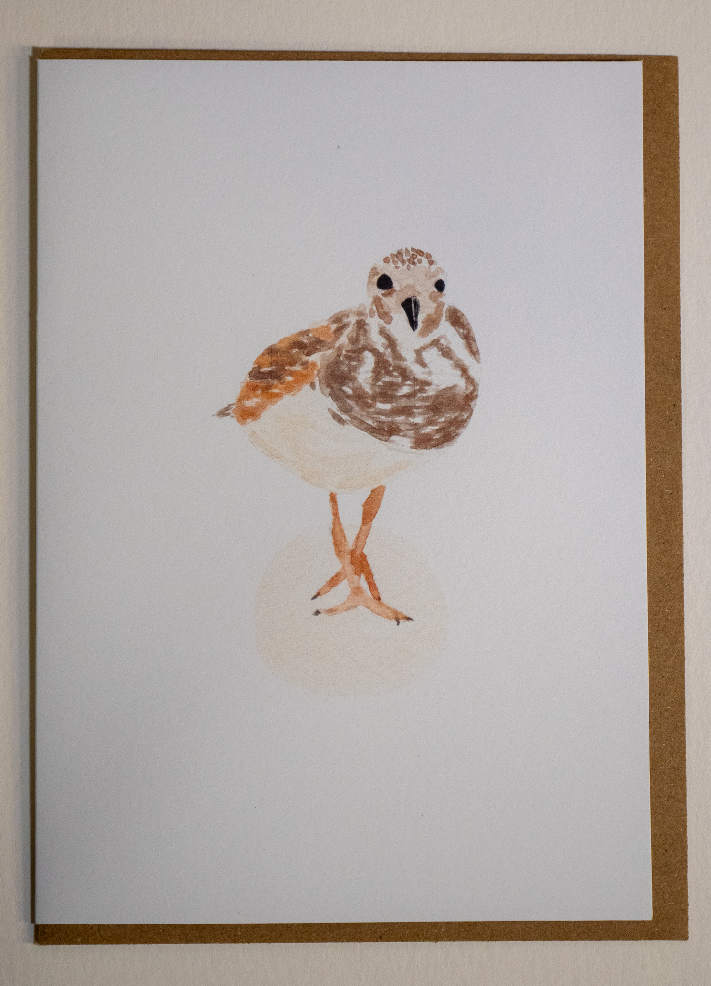 Shorebird Greeting Card, Ruddy Turnstone Watercolor Art, Coastal Bird Card, Bird Watcher Gift, Gulf Coast Nature Card, Blank Inside 5x7