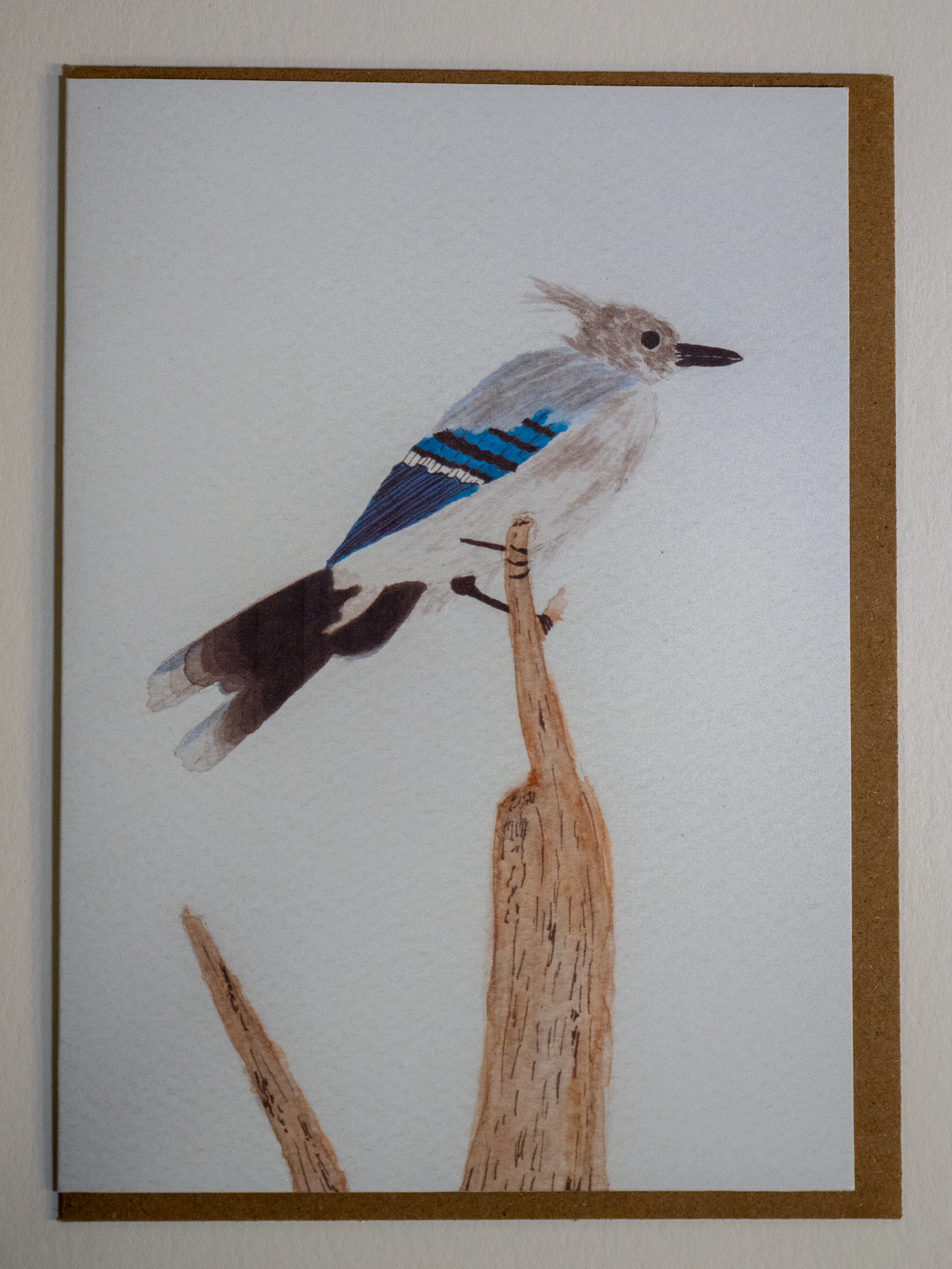 Blue Jay Greeting Card, Watercolor Bird Art, Nature Lover Card, Bird Watcher Gift, Wildlife Art Card, Blank Inside, 5x7