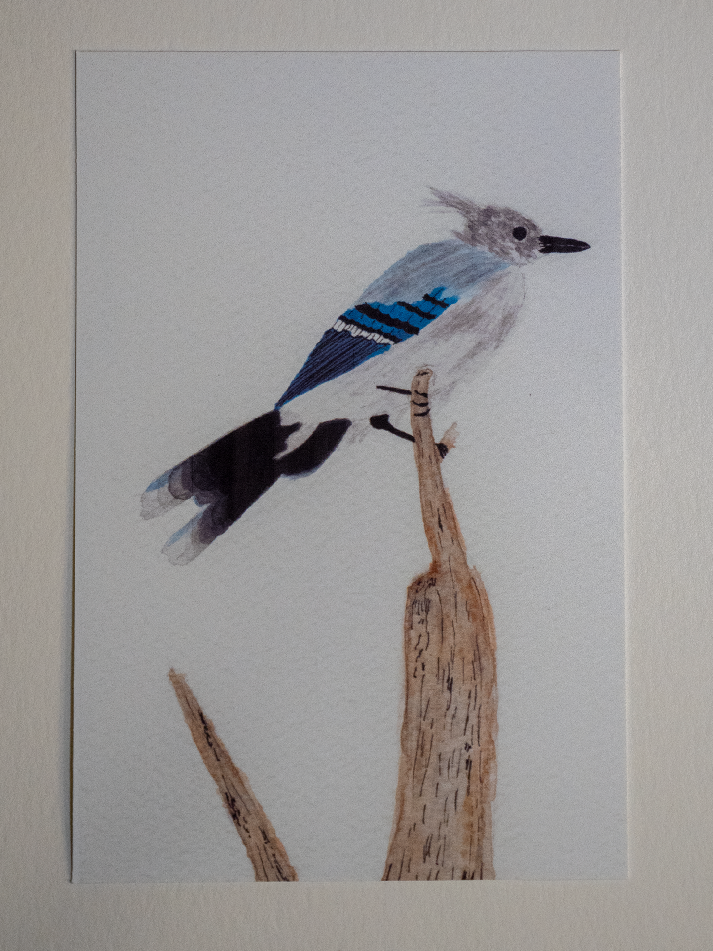 Blue Jay Postcard, Watercolor Bird Art Print, Nature Lover Gift, Bird Watcher Card, Wildlife Art, Backyard Bird Art, 4x6 Art Card