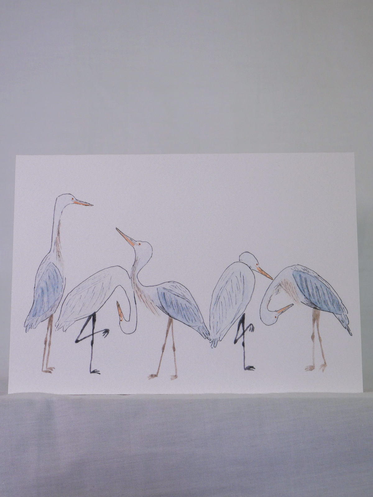 Heron & Egret Greeting Card