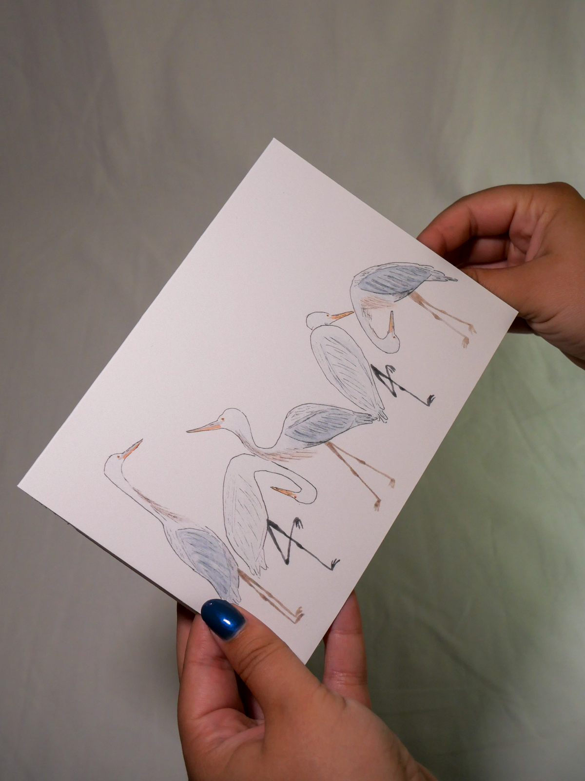 Heron & Egret Greeting Card
