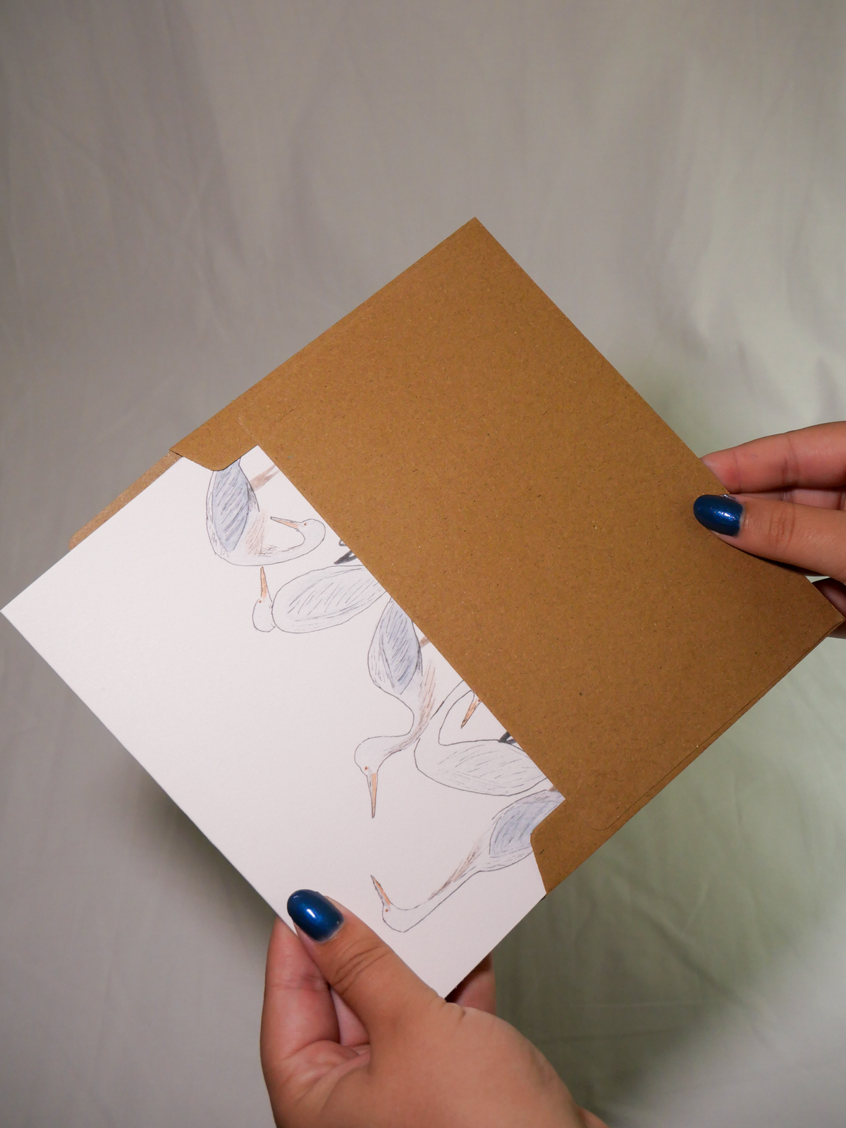 Heron & Egret Greeting Card