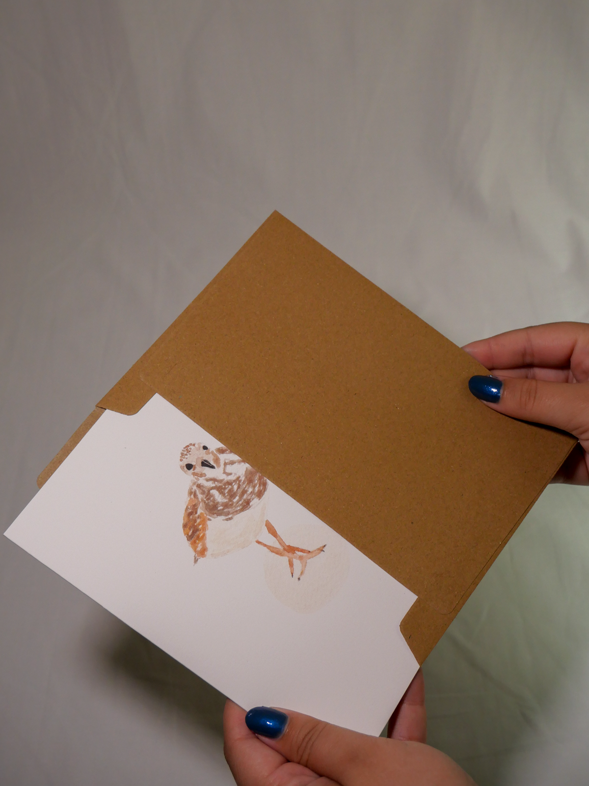Ruddy Turnstone Greeting Card