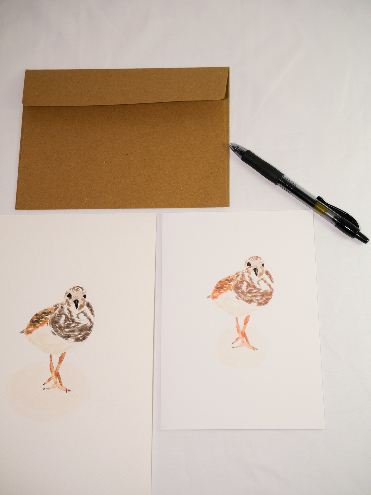 Ruddy Turnstone Greeting Card