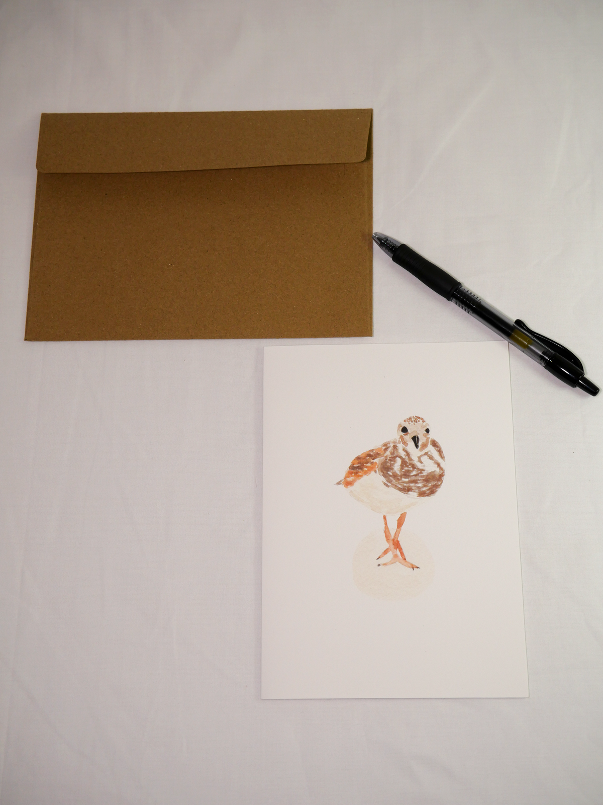 Ruddy Turnstone Greeting Card