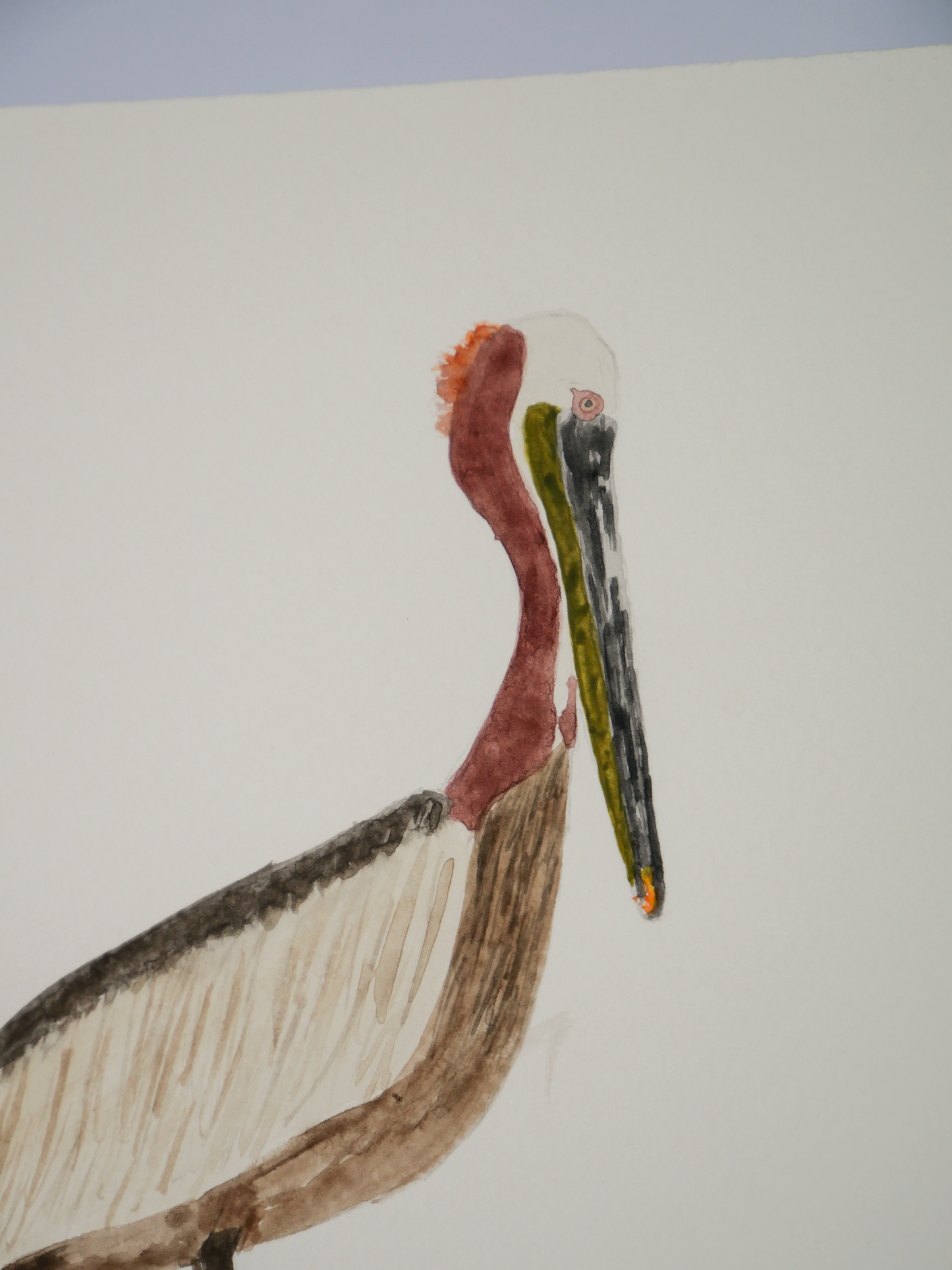 Gazing Brown Pelican | Original Watercolor Painting | Coastal Bird Art
