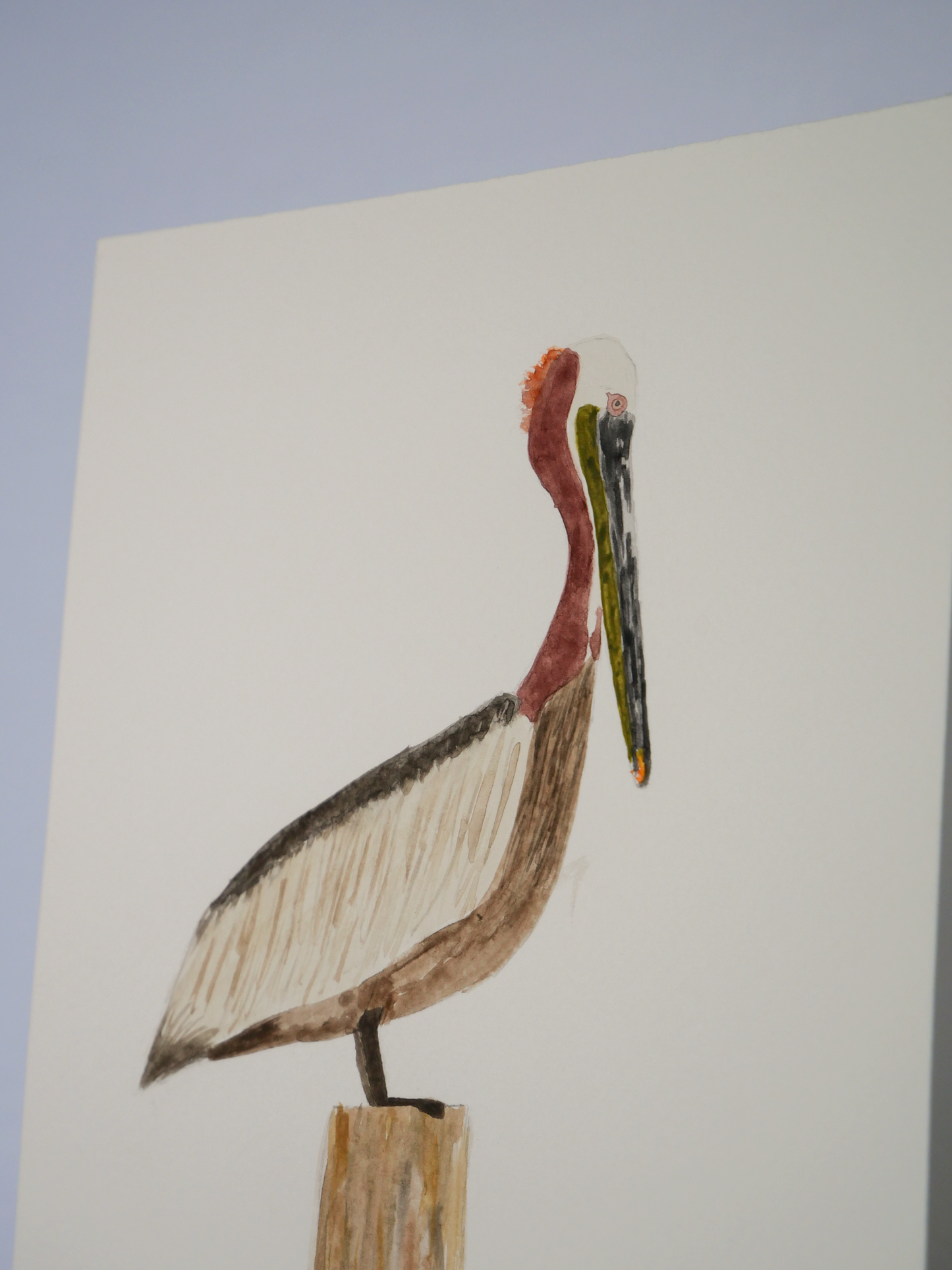 Gazing Brown Pelican | Original Watercolor Painting | Coastal Bird Art