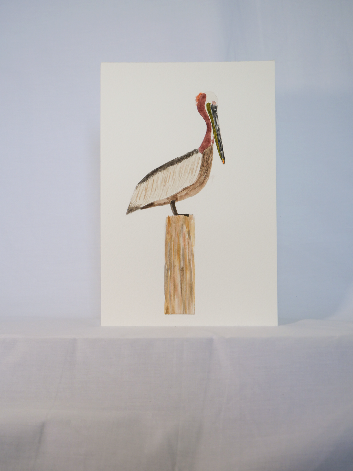 Gazing Brown Pelican | Original Watercolor Painting | Coastal Bird Art