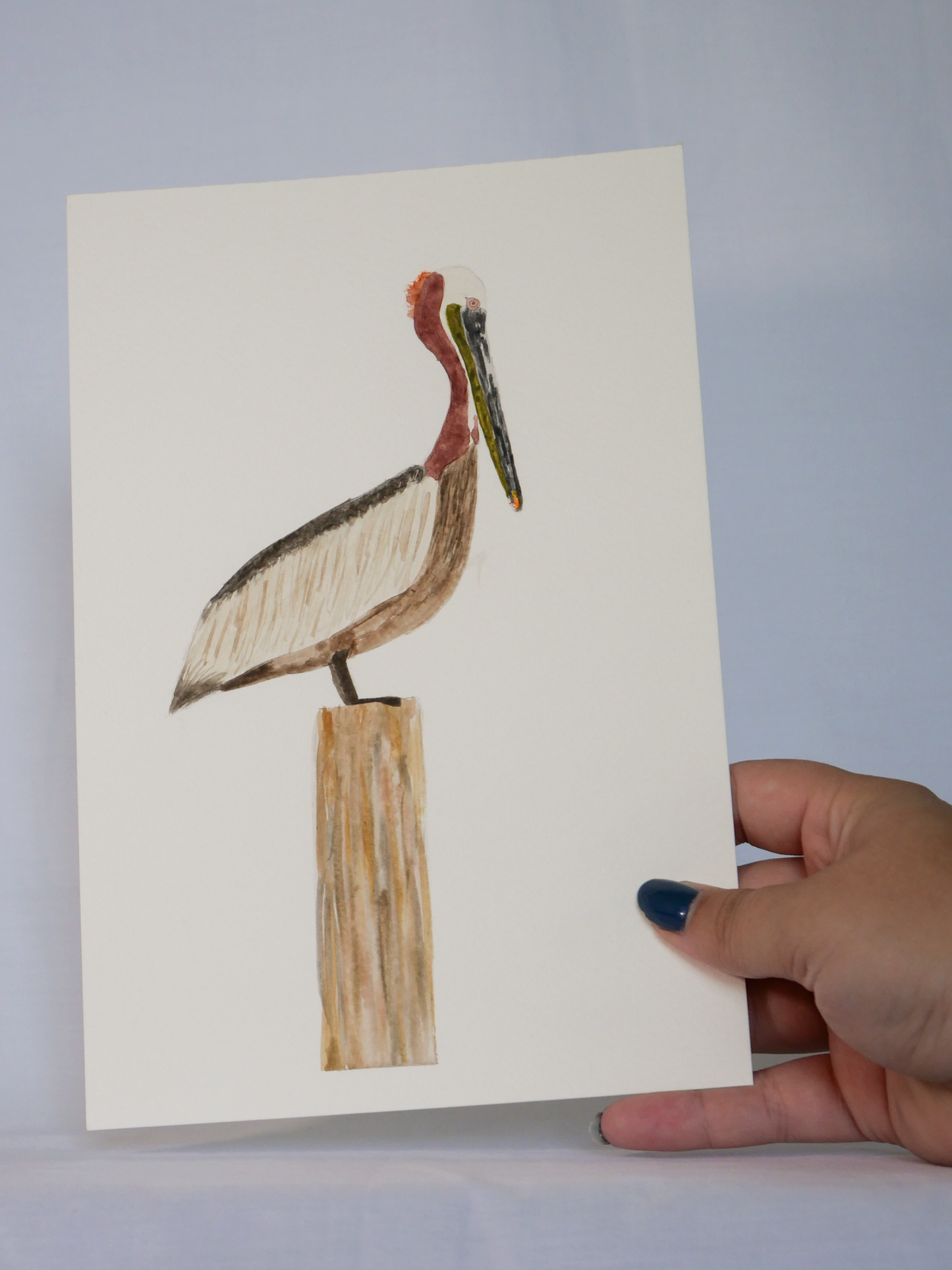 Gazing Brown Pelican | Original Watercolor Painting | Coastal Bird Art