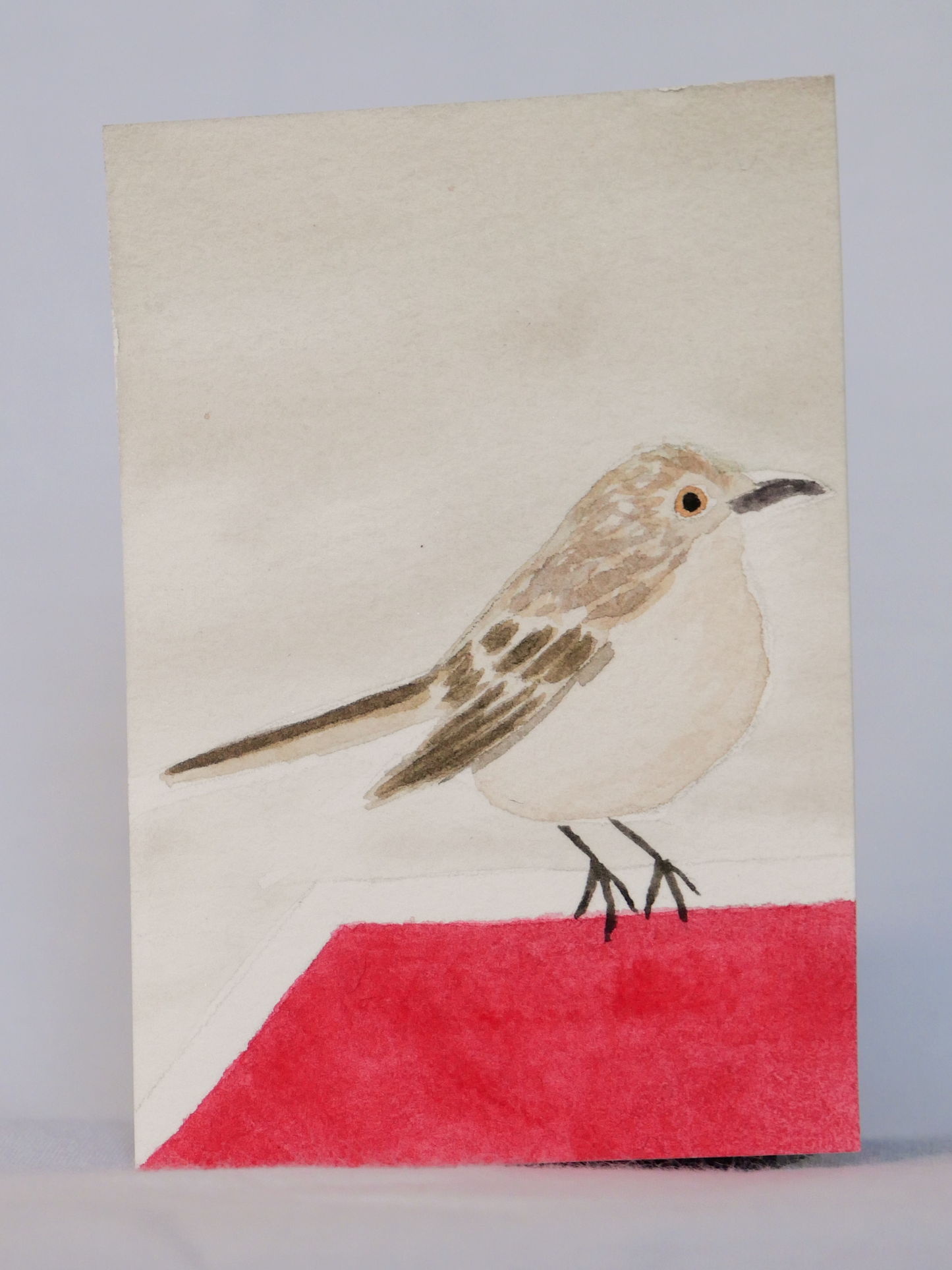 Stopped Mockingbird | Original Watercolor Painting | Coastal Bird Art