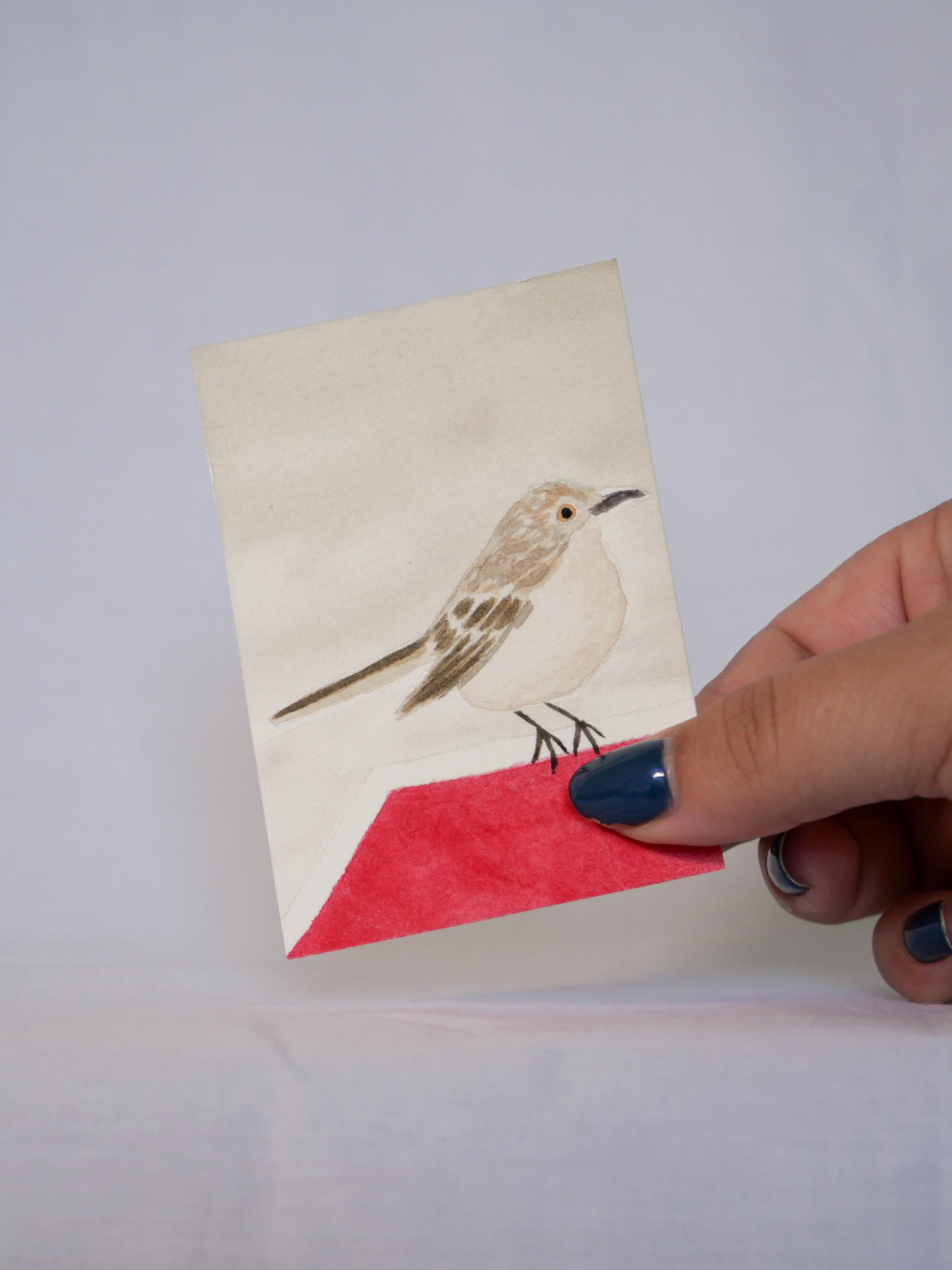 Stopped Mockingbird | Original Watercolor Painting | Coastal Bird Art