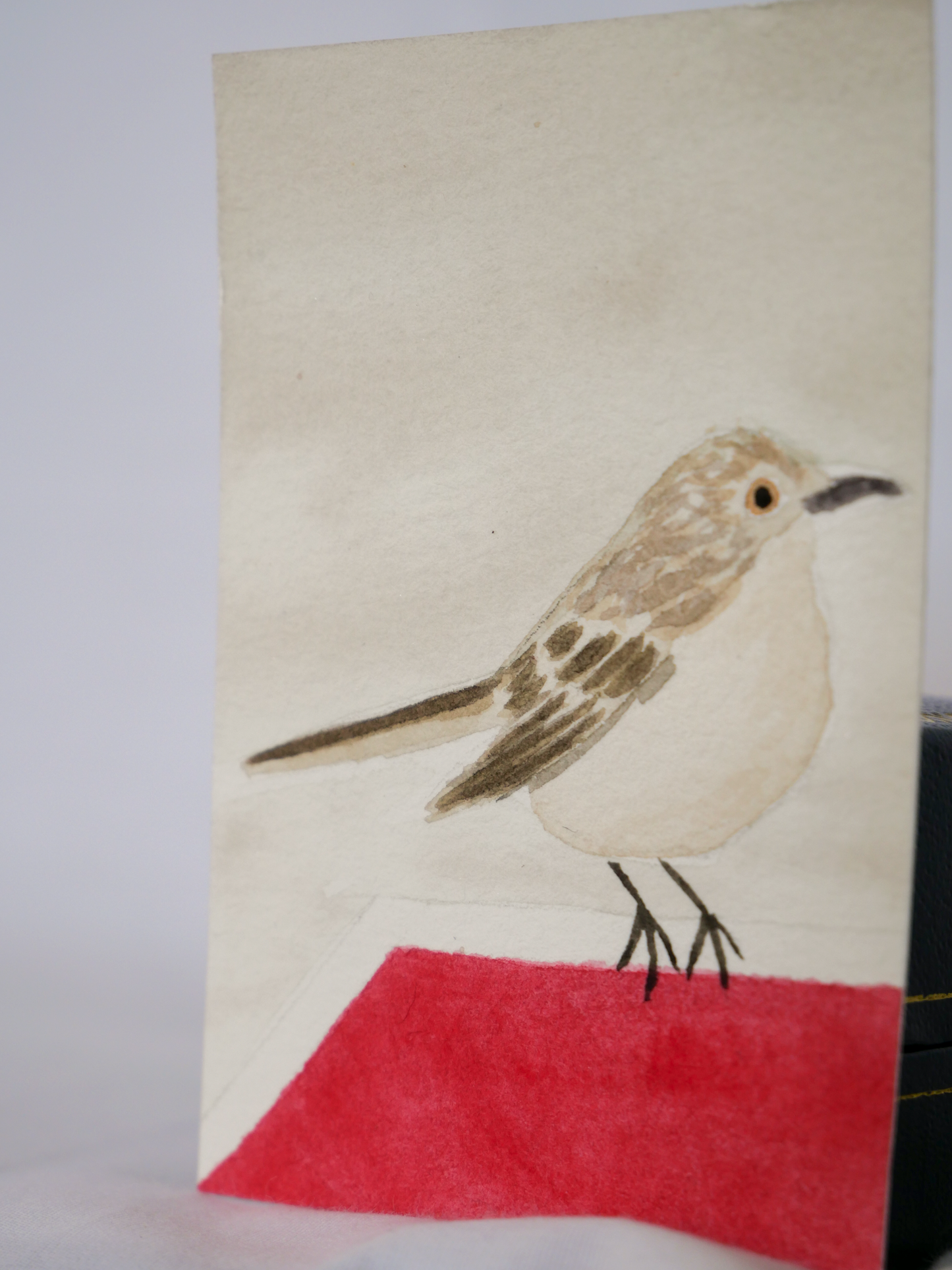 Stopped Mockingbird | Original Watercolor Painting | Coastal Bird Art