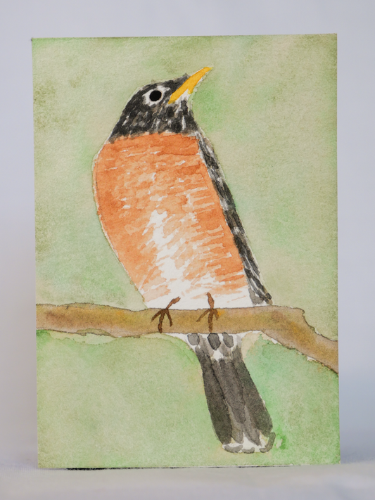 Stoic American Robin | Original Watercolor Painting | Coastal Bird Art