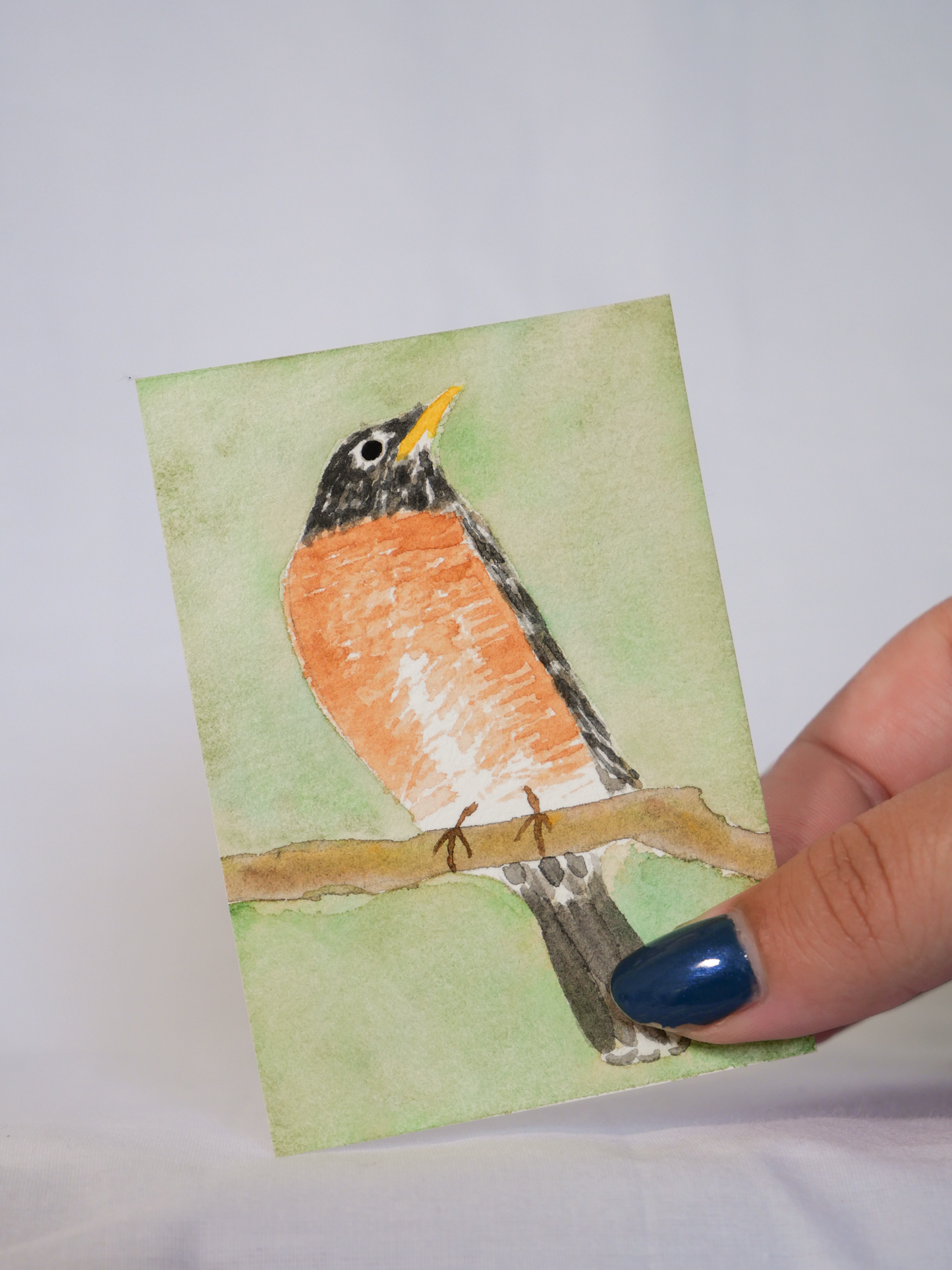 Stoic American Robin | Original Watercolor Painting | Coastal Bird Art
