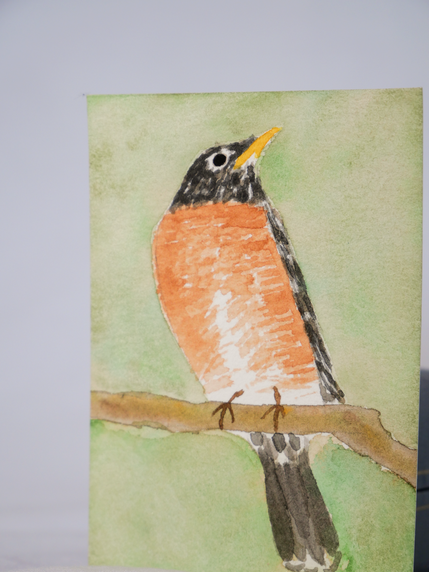 Stoic American Robin | Original Watercolor Painting | Coastal Bird Art