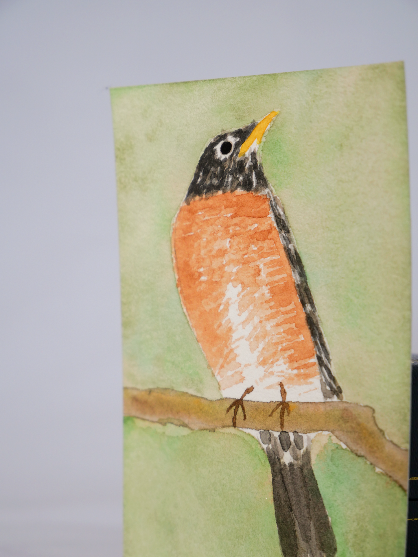 Stoic American Robin | Original Watercolor Painting | Coastal Bird Art