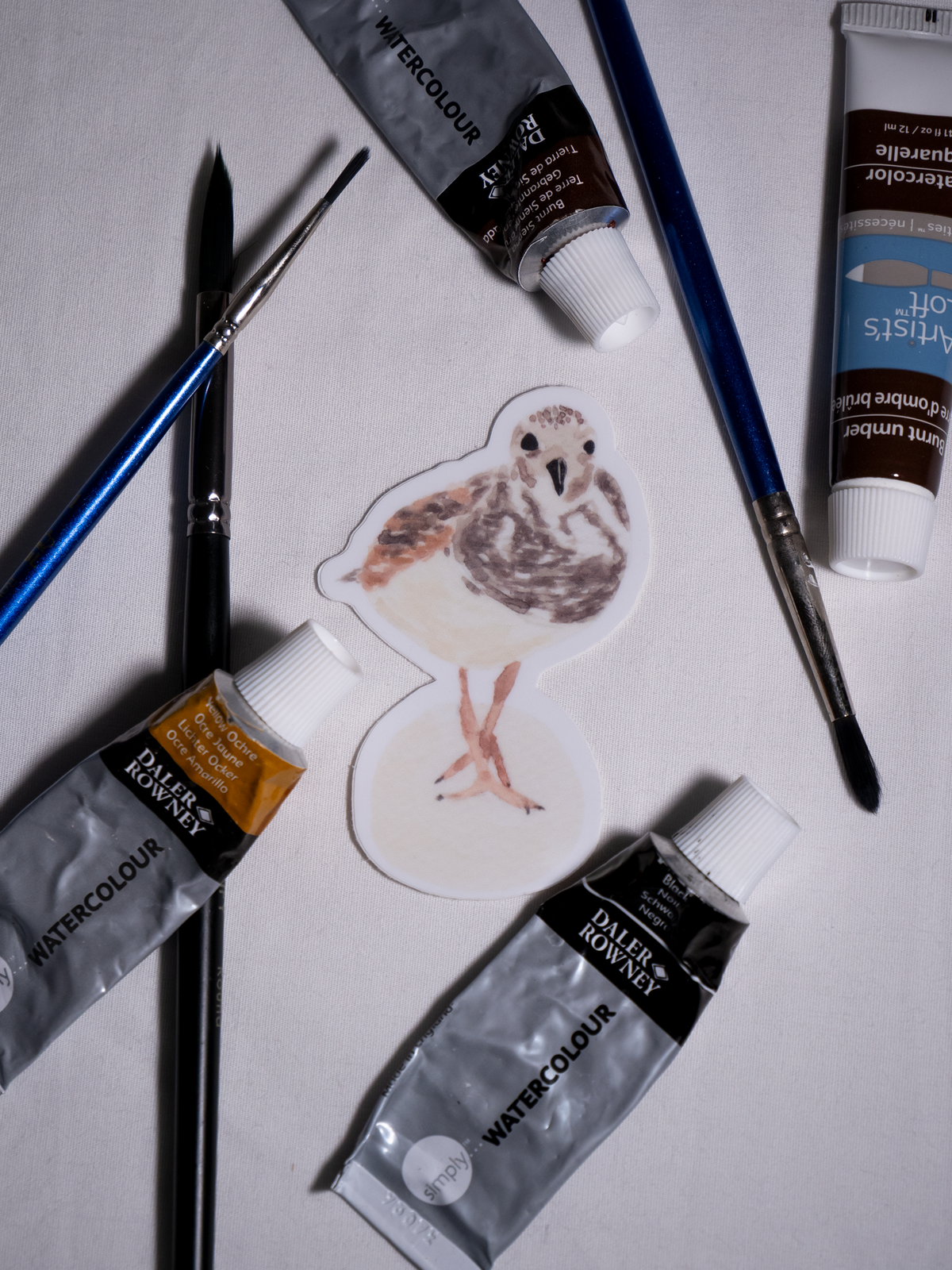 Ruddy Turnstone Vinyl Sticker